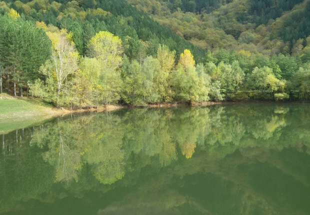 Highlights of ecosystem services project in FSC-certified forest in Valdarno, Italy